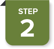 Website Creation Step 2