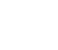 Computer icon with a website